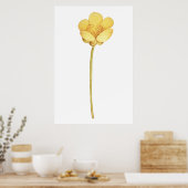Bloeiende boterbloem gele bloem poster (Keuken)