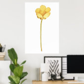 Bloeiende boterbloem gele bloem poster (Thuiskantoor)