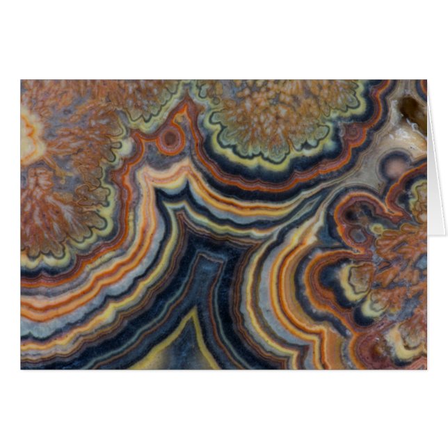 Bloeiende buis onyx (Voorkant Horizontaal)