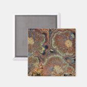 Bloeiende Buis Onyx Magneet (Voorkant / Achterkant)