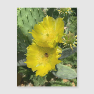 Bloeiende Cactus Bloemen Magneet