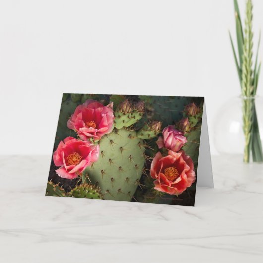 Bloeiende Cactus gepersonaliseerd Wenskaart Kaart (Voorkant)