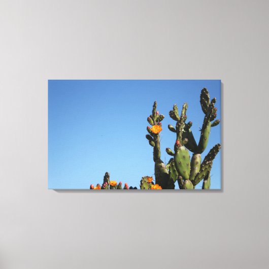 Bloeiende Cactus Plant Opgerekt Canvas Print (Voorkant)