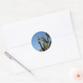 Bloeiende Cactus schijfcactus Opuntia Sticker (Envelop)
