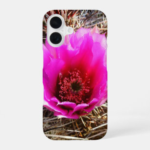 Bloeiende Cactus (Vijgcactus) Wildbloem iPhone 16 Hoesje