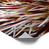 Bloeiende Cactus (Vijgcactus) Wilde Bloem Poster (Hoek)