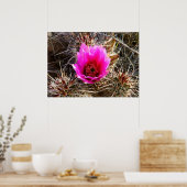 Bloeiende Cactus (Vijgcactus) Wilde Bloem Poster (Keuken)