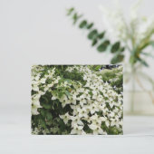 Bloeiende Cornussen in Marshall Briefkaart (Staand voorkant)