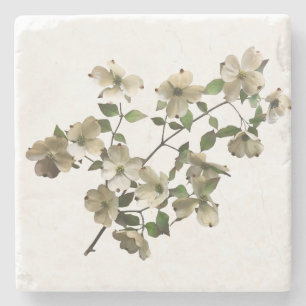 Bloeiende Dogwood Bloemen op Branch Stenen Onderzetter