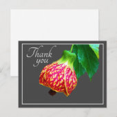 Bloeiende esdoorn bloem Grijze achtergrond Dank je Briefkaart (Voorkant / Achterkant)