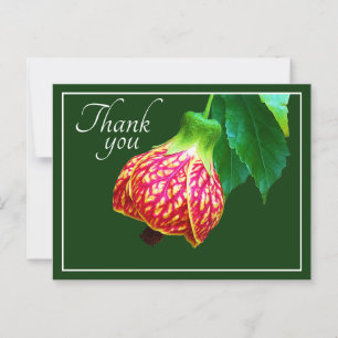 Bloeiende esdoorn bloem groene achtergrond Dank je Briefkaart