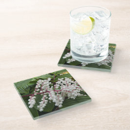 Bloeiende False Solomon's Seal Plant Floral Glazen Onderzetter