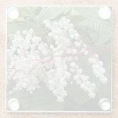 Bloeiende False Solomon's Seal Plant Floral Glazen Onderzetter (Achterkant)