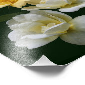 Bloeiende gele rozen 8x10 foto afdruk (Hoek)