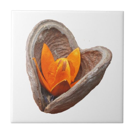 Bloeiende hart tegel tegeltje (Voorkant)