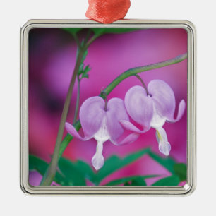 Bloeiende Harten Die Verbinding Maken In Tuin. Cre Metalen Ornament