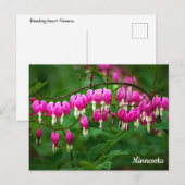 Bloeiende Hartjes Ansichtkaart Briefkaart (Voorkant / Achterkant)
