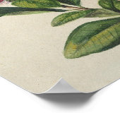 Bloeiende heester in vintage stijl poster (Hoek)