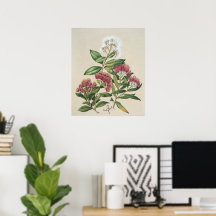 Bloeiende heester in vintage stijl