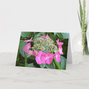 Bloeiende Hortensia Blank Note Kaart
