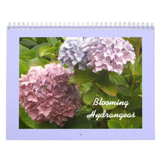 Bloeiende Hortensia's Kalender (Hoes)