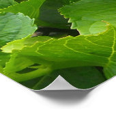 Bloeiende Hortensia's Poster (Hoek)