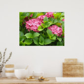 Bloeiende Hortensia's Poster (Keuken)