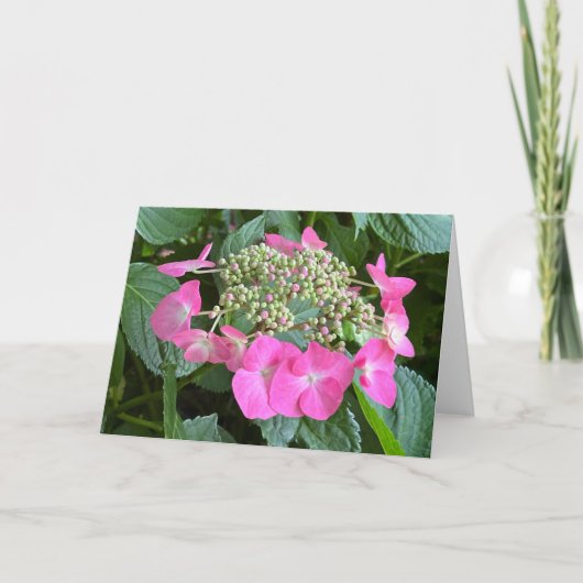 Bloeiende Hydrangea Lege Notitiekaart (Voorkant)