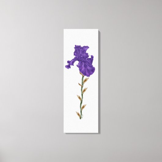 Bloeiende iris canvas afdruk (Voorkant)