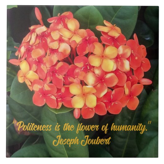 Bloeiende Ixora keramische Tegel Tegeltje (Voorkant)