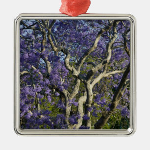 Bloeiende Jacaranda-bomen in New Farm Park, 2 Metalen Ornament