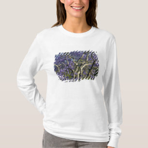 Bloeiende Jacaranda-bomen in New Farm Park, 2 T-shirt