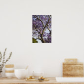 Bloeiende Jacaranda-bomen in New Farm Park, Poster (Keuken)