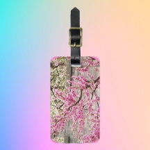 Bloeiende kersen- en abrikozenbomen