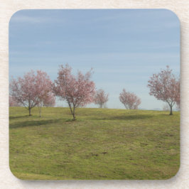 Bloeiende kersenbomen onderzetter