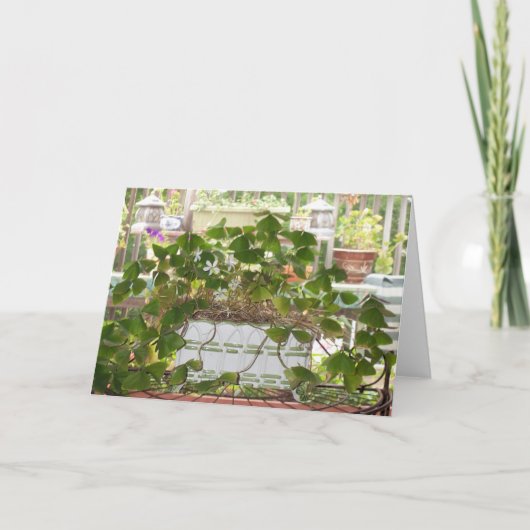 Bloeiende Klavers Kaart (Voorkant)