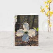 Bloeiende Kornoelje Kaart (Gele Bloem)