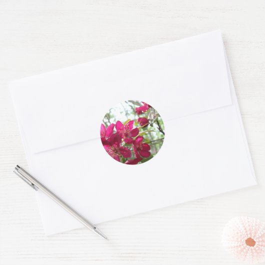 Bloeiende krab appelboom Sticker (Envelop)