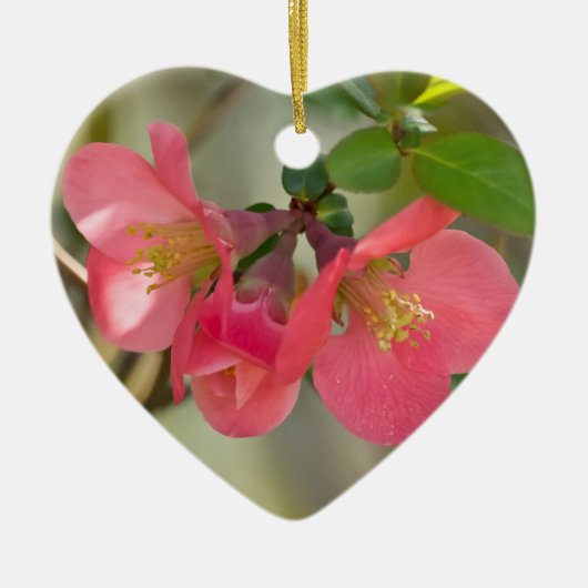 Bloeiende Kweepeer Glow Keramisch Ornament (Voorkant)