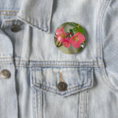 Bloeiende Kweepeer Glow Ronde Button 5,7 Cm (In situ)