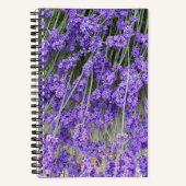 Bloeiende lavendelkruid bloemen notitieboek (Voorkant)