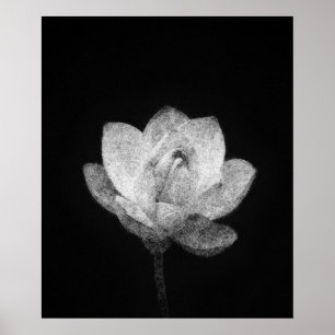 Bloeiende Lotus Flower Bud Sketch Art Poster