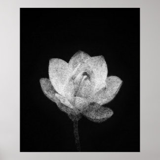 Bloeiende Lotus Flower Bud Sketch Art Poster