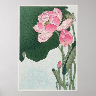 bloeiende Lotus Flowers Tekening Poster