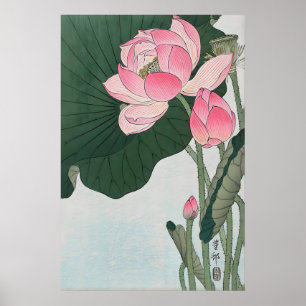 Bloeiende Lotusbloemen Japanse Fijne Kunstprint Poster