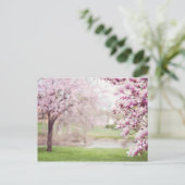 Bloeiende Magnolia Bomen Briefkaart (Staand voorkant)