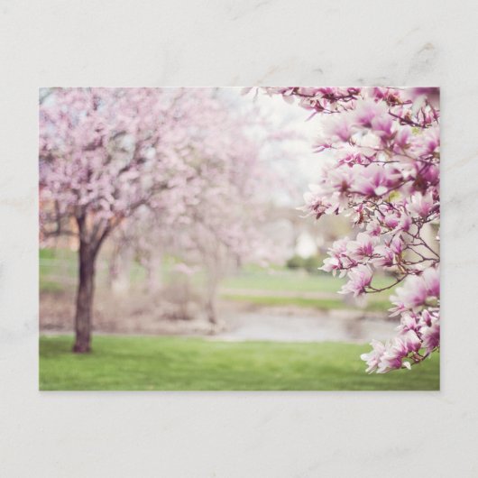 Bloeiende Magnolia Bomen Briefkaart (Voorkant)