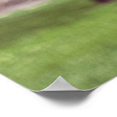 Bloeiende Magnolia Bomen Poster (Hoek)