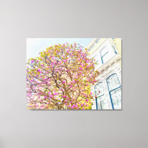 Bloeiende Magnolia Boom bij Victoriaans Huis Canvas Afdruk