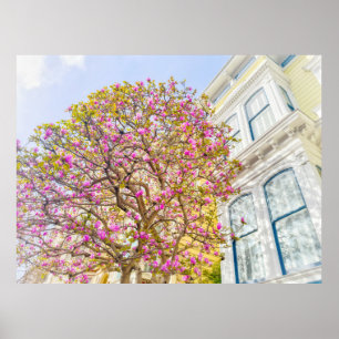 Bloeiende magnolia's bij Victoriaans huis Poster
